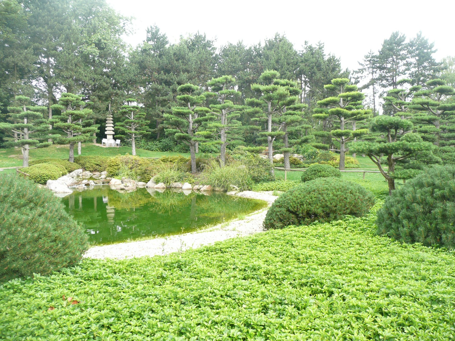 Teich mit Felsen, eine steinerne Pagode und in Form geschnittene Kiefern im Japanischen Garten im Nordpark in Düsseldorf